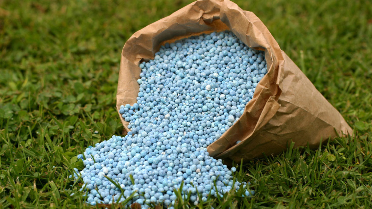 Abono para cesped y plantas