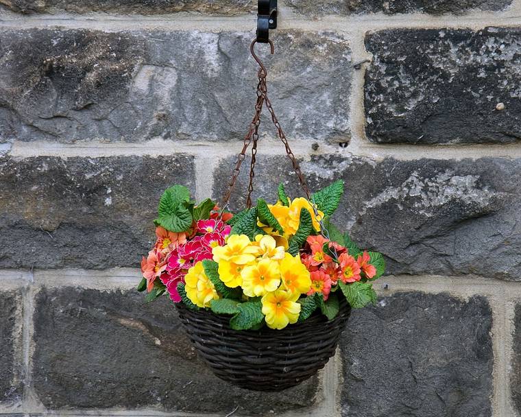Abono para plantas